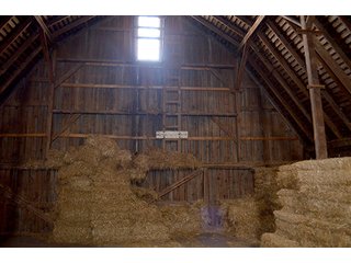 Property photo 106 - FARM & LAND AUCTION - 125+/- ACRES OFFERED IN 5 TRACTS IN EAST ALLEN COUNTY, INDIANA